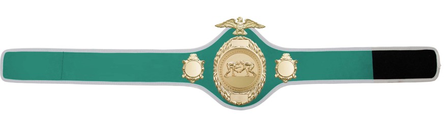 GRAPPLING CHAMPIONSHIP BELT - PRO288/G/GRAPG - 10 COLOURS